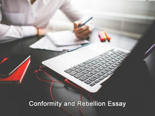 Conformity and rebellion essay