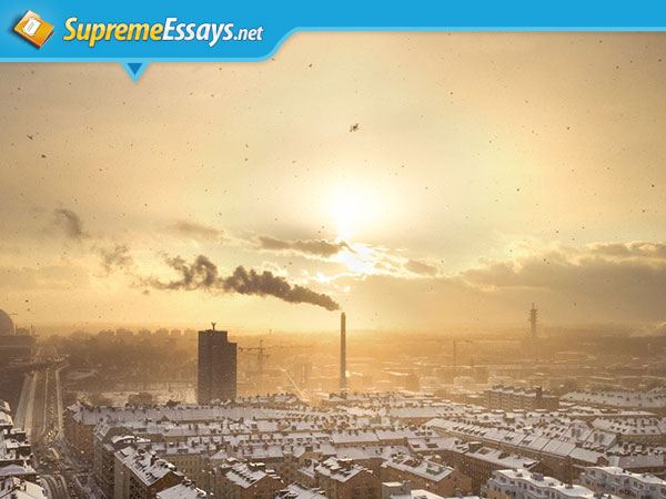 Environmental Pollution Sample Essay