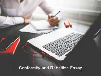 Conformity and Rebellion Essay Conformity and Rebellion Essay