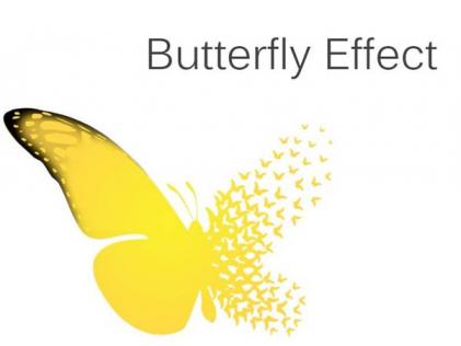 Butterfly Effect